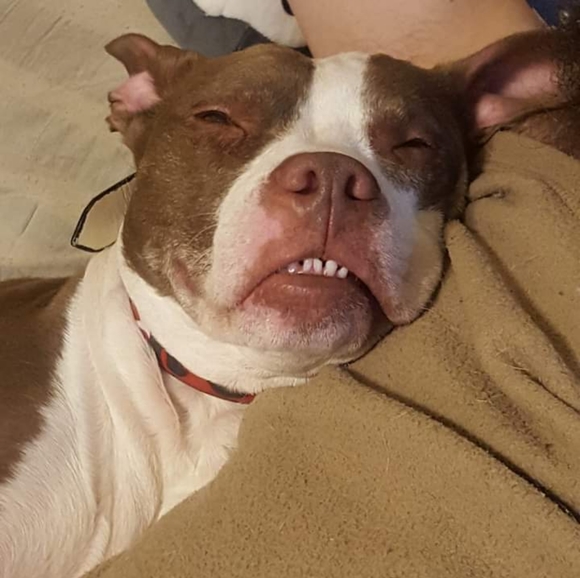 Meet your Posher, Krysta - Picture 6 of 12